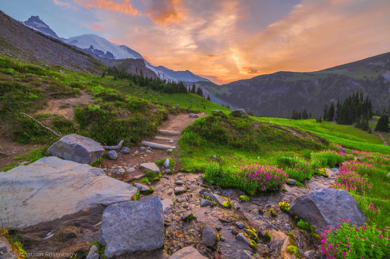 Nature photograph by Jonathan Rosenberry