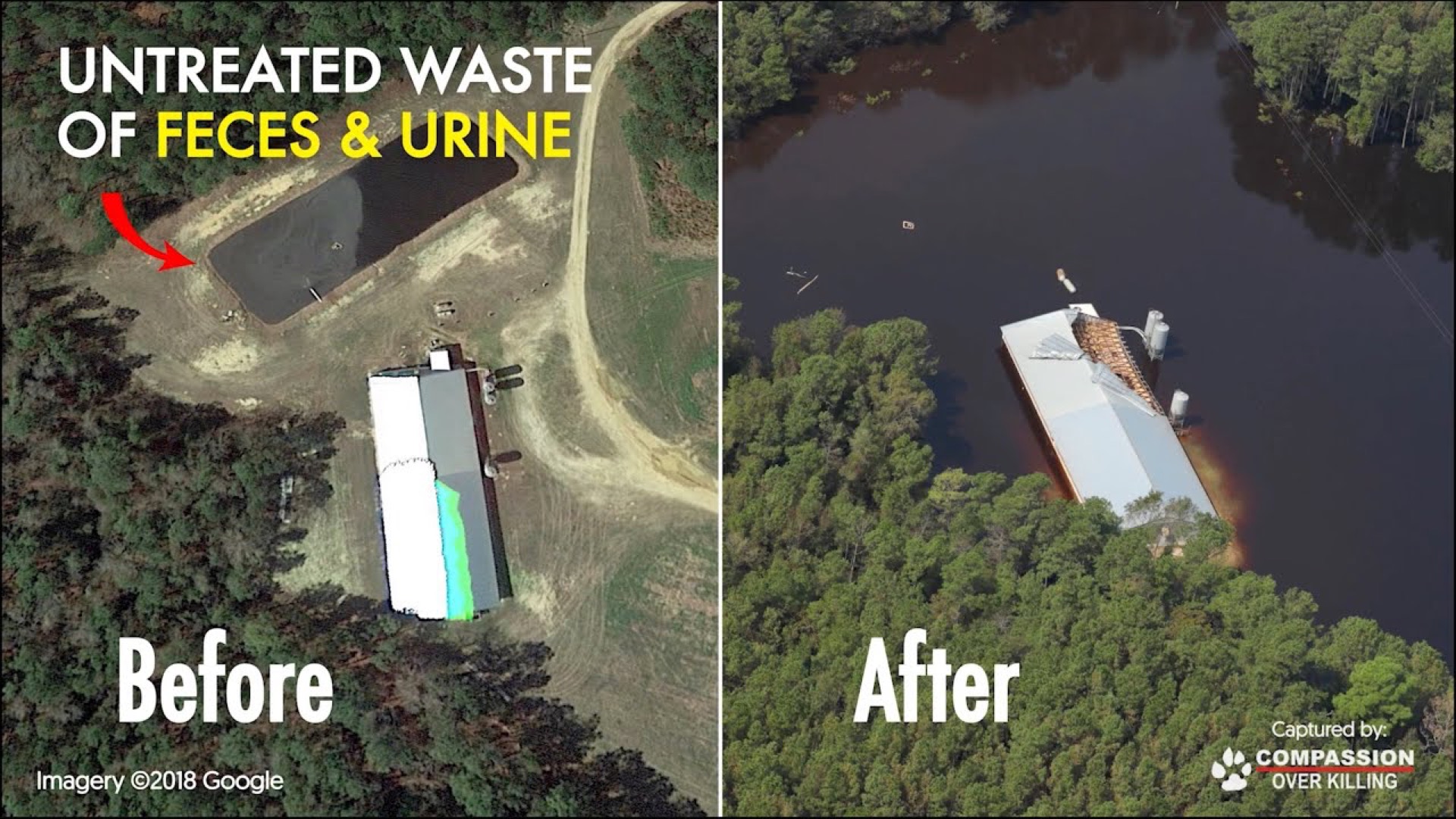 Aerial documentary footage from the Hurricane Florence investigation